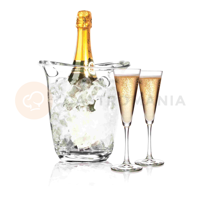 Wiaderko na wino i szampana z tworzywa, przezroczyste 22x18,5x22,6 cm | HENDI, 593158