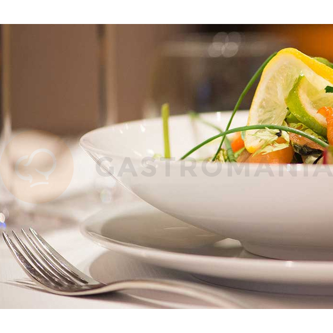 Porcelanowa salaterka 24 cm | ARIANE, Style