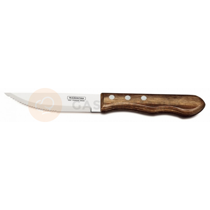 Nóż do steków z ostrym szpicem 250 mm | TRAMONTINA, Polywood