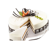 Forma do ciast i tortów TOR200 h50/1 | SILIKOMART, Torta Flex