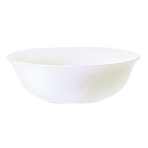 Salaterka w białym kolorze o średnicy 16 cm | ARCOROC, Restaurant