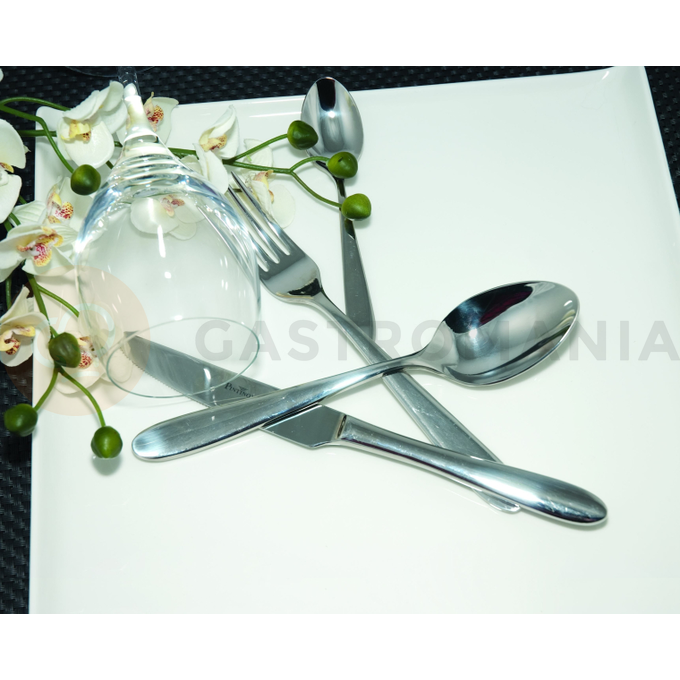 Łyżka stołowa 208 mm | PINTINOX, Ritz