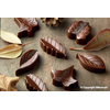 Forma do pralin i czekoladek - liście, 51x23x14,5 mm, 10 ml - SCG10 Nature | SILIKOMART, Easychoc