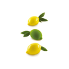 Zestaw form do przygotowania deseru na zimno - 4 szt., 120 ml, 88x61x44 mm - Limone &amp; Lime 120 | SILIKOMART, 3D Fruits