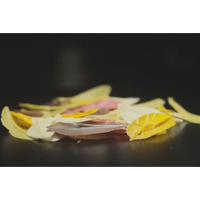 Szpatuła do czekolady w kształcie liści - 60x30 mm | SILIKOMART, Choco Leaves Spatula
