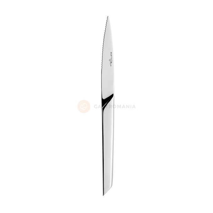 Nóż do steków o długości 243 mm, 18/10 | ETERNUM, X-15