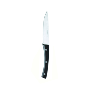 Nóż do steków ze stali nierdzewnej, 22,9 cm | ABERT, AB-551