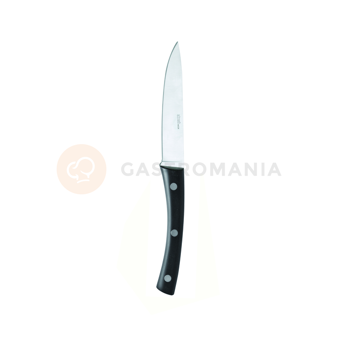 Nóż do steków ze stali nierdzewnej, 22,9 cm | ABERT, AB-551