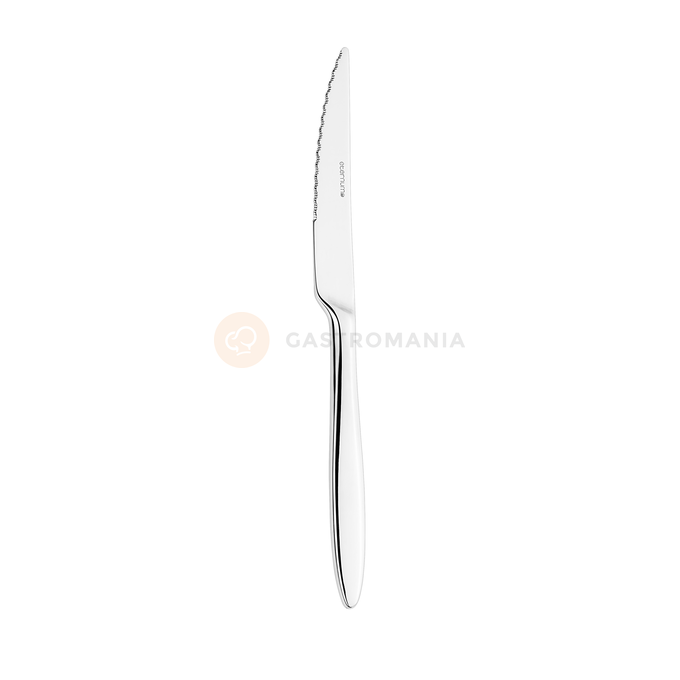 Nóż do steków o długości 228 mm, 18/10 | ETERNUM, Sonate