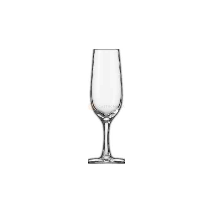 Kieliszek do szampana 235 ml | SCHOT ZWIESEL, Congresso