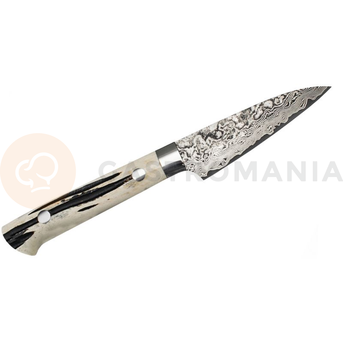 Ręcznie kuty nóż do obierania 9cm R-2 | TAKESHI SAJI, HB-451