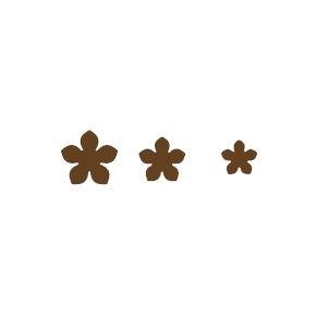 Silikonowa forma do dekoracji czekoladowych, 390x290x1,5 mm - CHASIL34 | MARTELLATO, Chablon project
