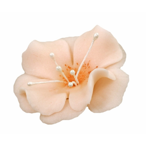 Kwiat magnolia mała z cukru 5,5 cm, łososiowy | MAGMART, K 024M