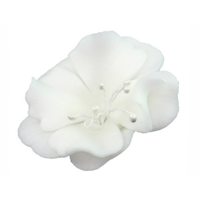 Kwiat magnolia mała z cukru 5,5 cm, biały | MAGMART, K 024M