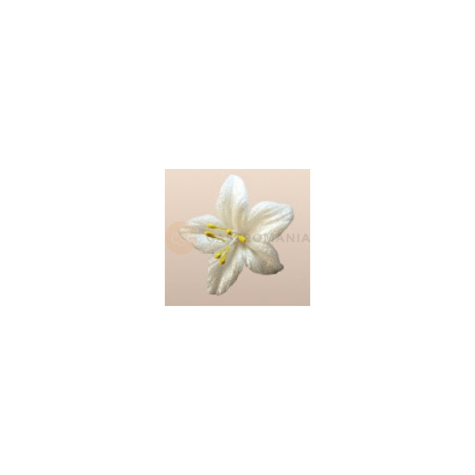 Kwiat gwiezdny pył z cukru 4 cm, biało-żółty, komplet 5 szt. | MAGMART, 041