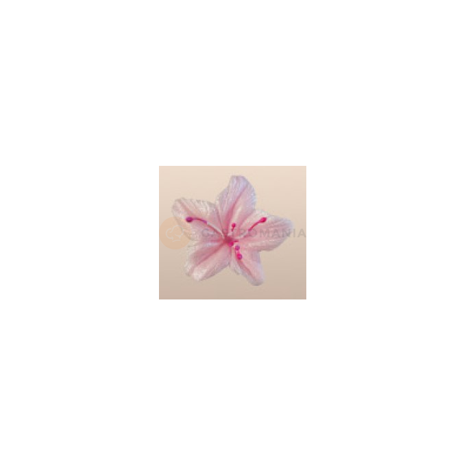 Kwiat gwiezdny pył z cukru 4 cm, różowy, komplet 5 szt. | MAGMART, 041