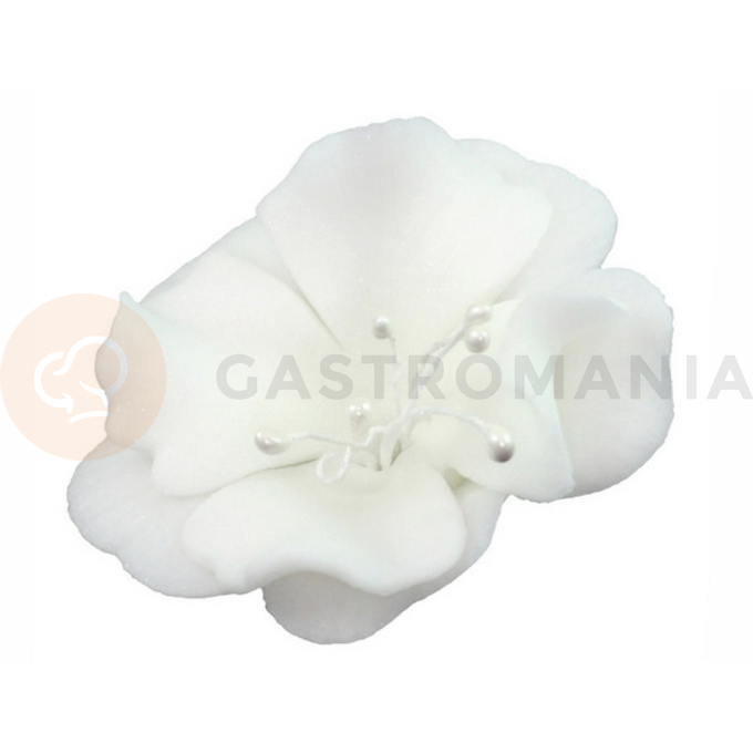 Kwiat magnolia mała z cukru 5,5 cm, biały | MAGMART, K 024M
