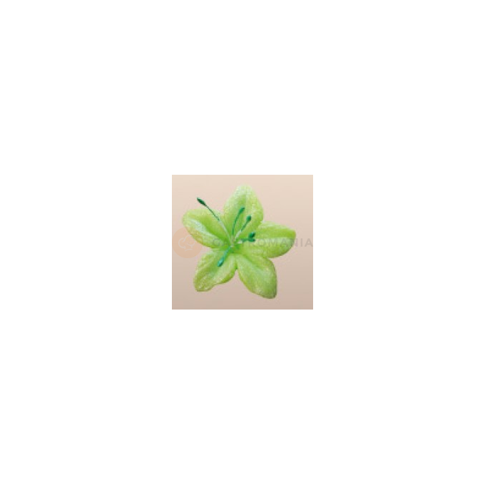 Kwiat gwiezdny pył z cukru 4 cm, limonkowy, komplet 5 szt. | MAGMART, 041