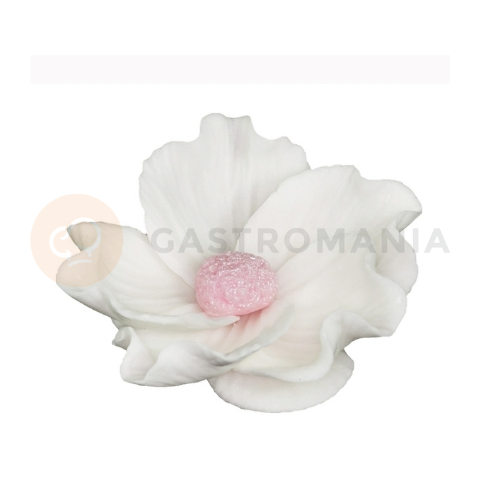 Kwiat dzika róża mała z cukru 8 cm, biały | MAGMART, K 014M