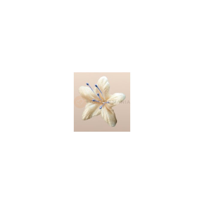 Kwiat gwiezdny pył z cukru 4 cm, ecru, komplet 5 szt. | MAGMART, 041