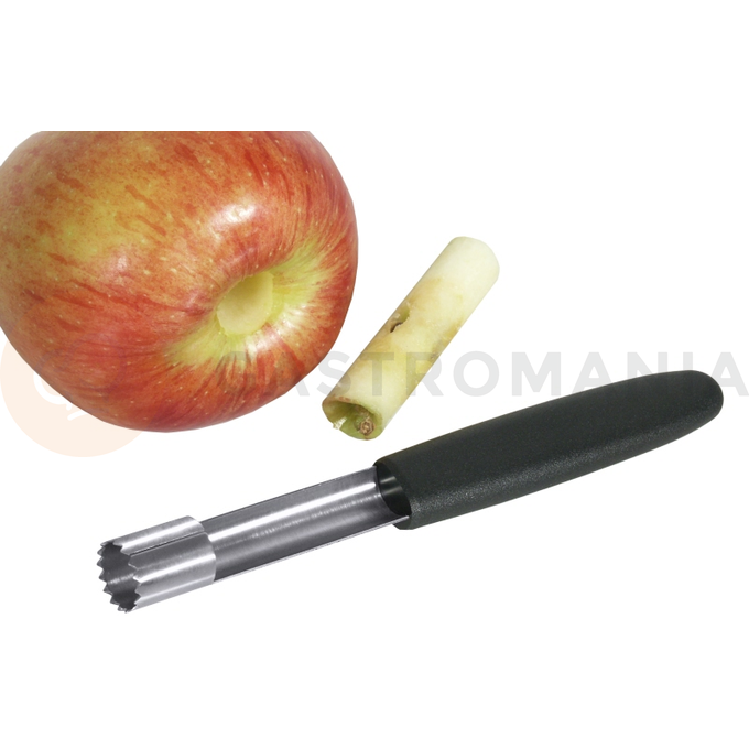 Wydrążacz do jabłek, średnica 19 mm | CONTACTO, 2248/200