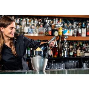 Cooler do wina | BAR PROFESSIONAL, Verona
