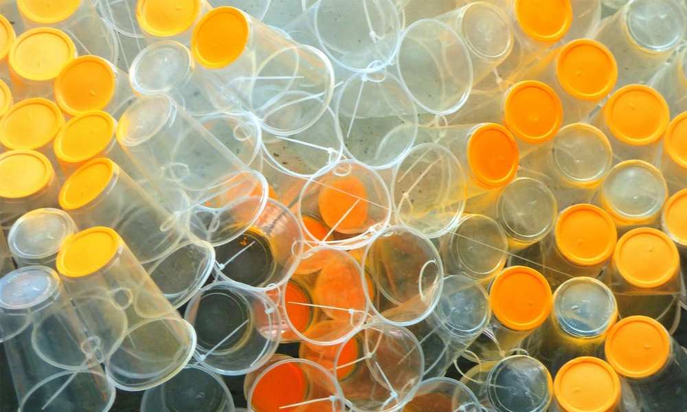 Biodegradowalne naczynia z PLA